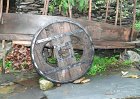 Courel cart details